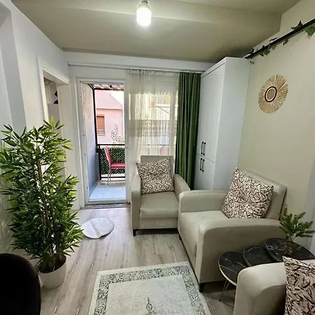 Center House - Double Or Whole